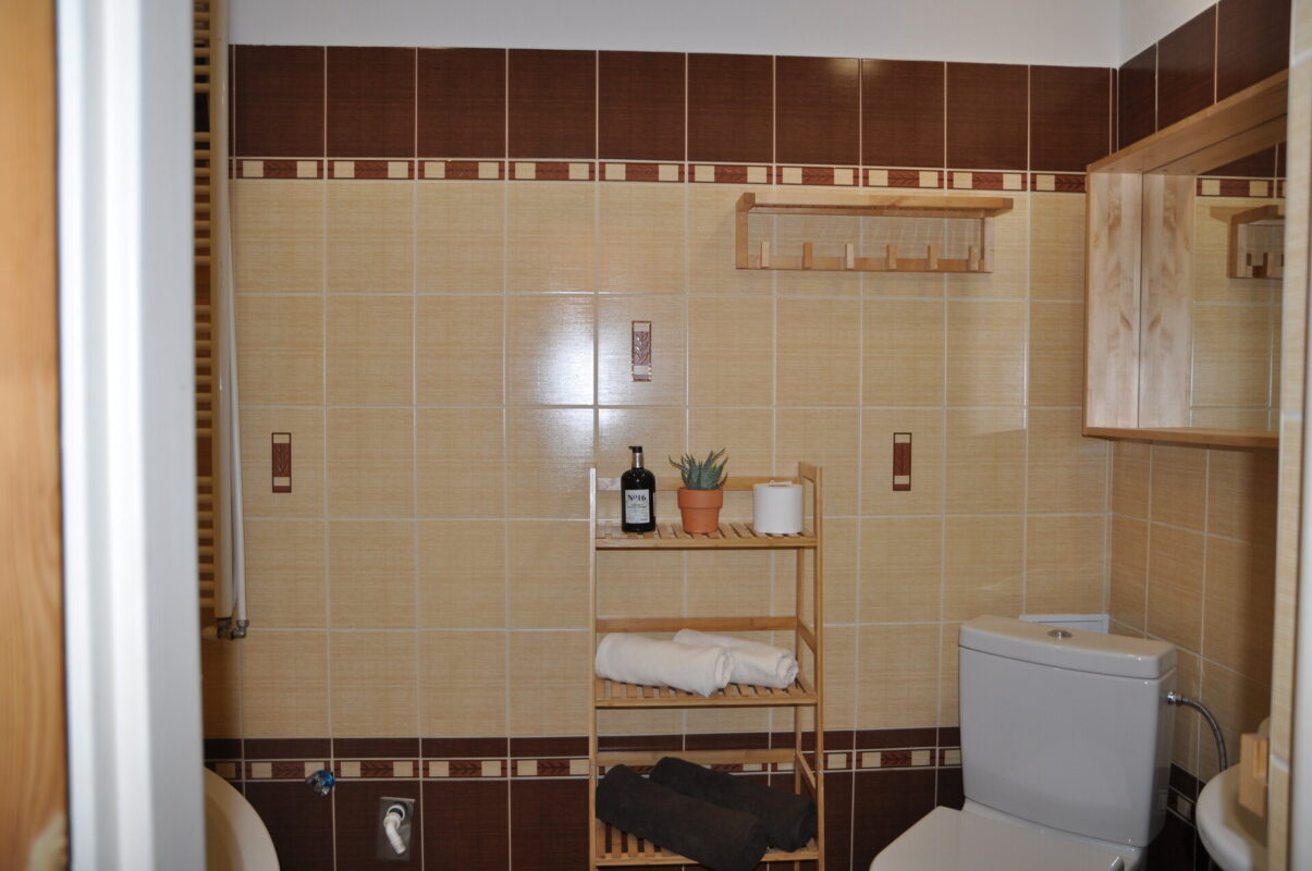 apartman_pod_lesom_b_4df3668bd8ca476c