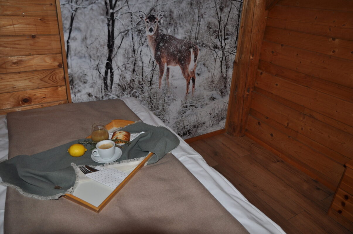 apartman_pod_lesom_b_9a05938f413b4eb4